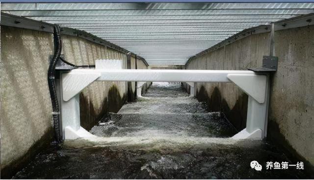 为什么兴建水坝时要留鱼道，河道能够修坝蓄水吗（低水头水利枢纽过鱼通道构建技术）