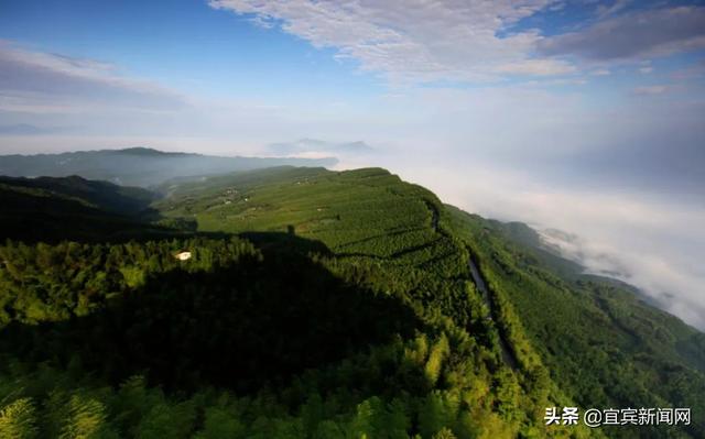 竹海生态旅游景区介绍，到绿水青山的蜀南竹海“走一遭”吧