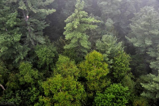 七八月份国内最佳旅游地方，七八月份国内最佳旅游地方溜娃（到这10个最佳旅游胜地）