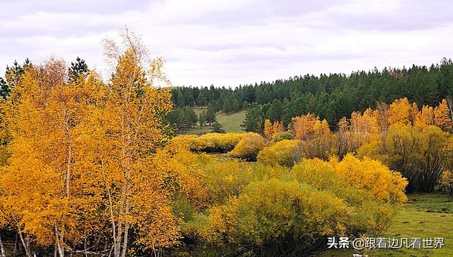 阿尔山的风景，《走进内蒙》景色迷人