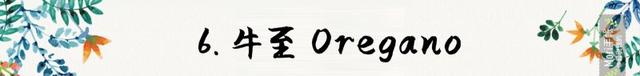 迷迭香是什么，西餐中常用的15种香料和香草（迷迭香是什么时候出的）