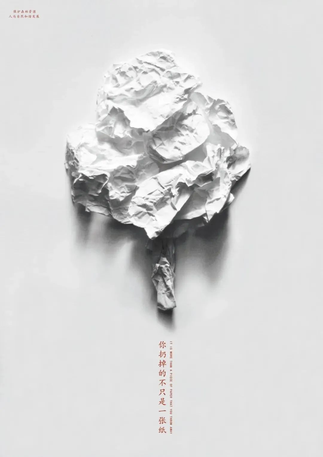 小红书logo(小红书卡通图标)