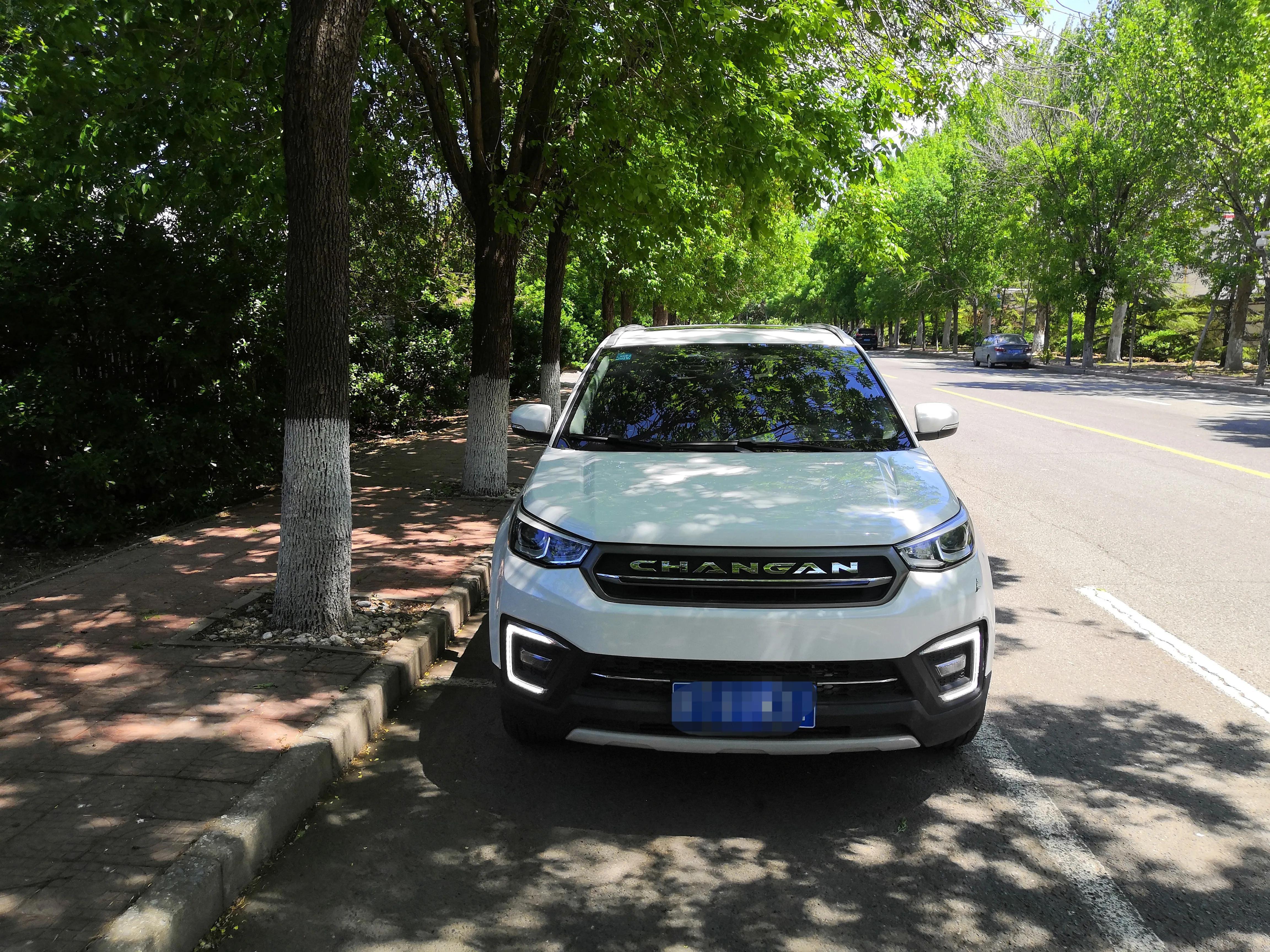 倒车影像怎么看倒车入库（倒车影像查看技巧）