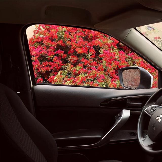 想回家的朋友圈文案，过年回家朋友圈的文案（关于年末想回家的文案）