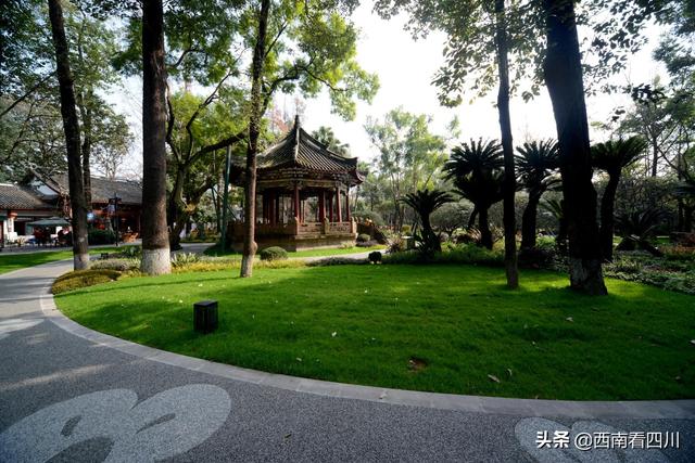 成都文化公园,成都文化公园简介(成都市文化公园增添新景观)