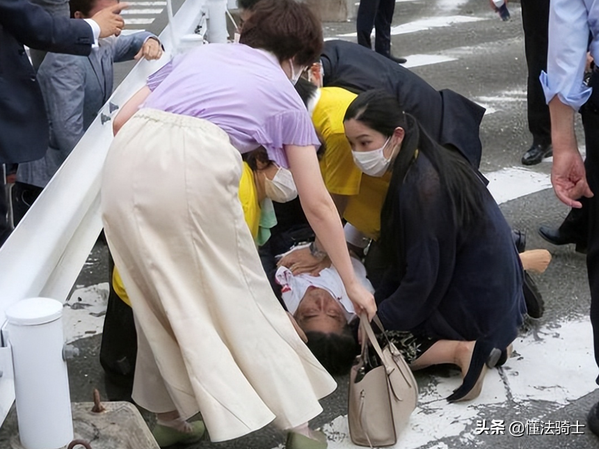 破坏法律实施罪（安倍的死亡）