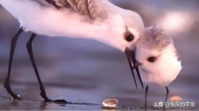 有内涵的动画片，最内涵的十大动漫是什么（一定要陪他看这5部动画短片）