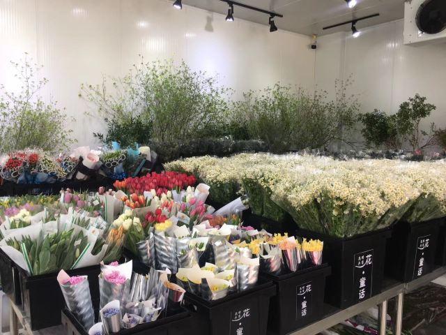 昆明一日游最佳景点一览表，昆明32个最适合一日游的免费景点（四季如春的昆明很适合旅游）