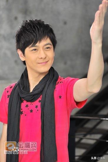 林志颖演过的电视剧，林志颖在哪部电视剧中演的小鱼儿（喜欢小鱼儿和四毛）