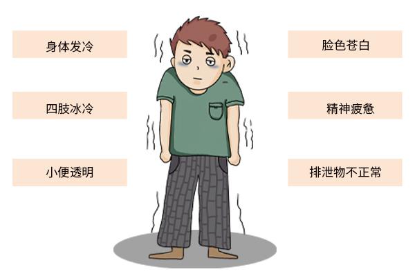 枸杞功效与作用，枸杞的十大功效与作用（枸杞不仅能增精，还能降血糖）