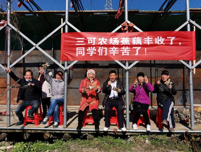 有种同学情叫常相聚，宁波王升大博物馆三可农场“友谊藕”大丰收
