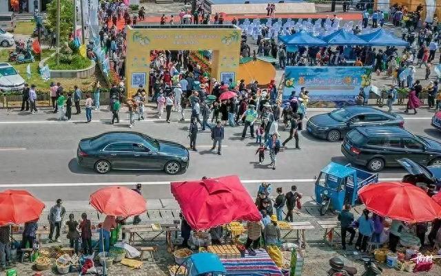 2022宁波“最具人气乡村旅游目的地”新桥镇，梦华录取景地，好美