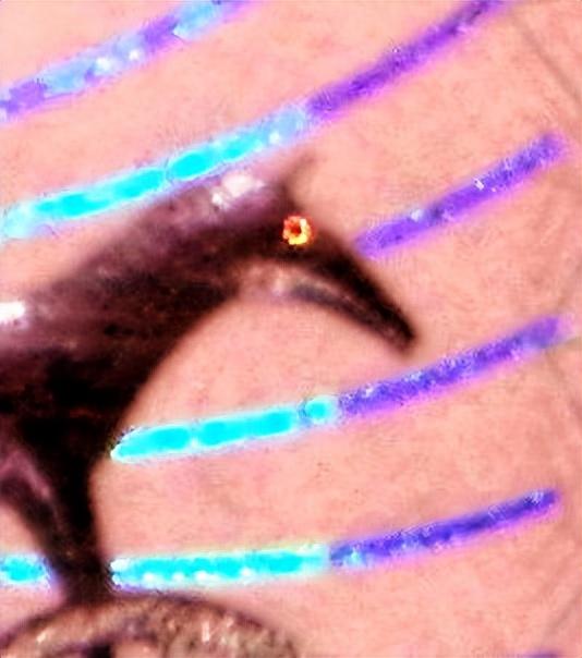 丹麦用什么货币，丹麦用什么货币和人民币（大布雷特大桥和青铜器太阳战车）