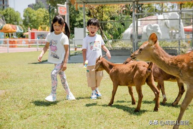 成都周边游儿童游乐园松鼠部落，2022儿童挚爱户外乐园线上评选启动