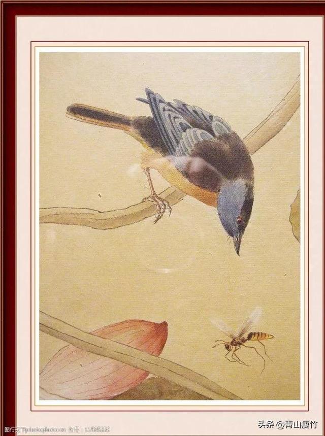 花鸟画作品欣赏，立体横幅小写意花鸟画100幅（精品花鸟画30幅，欣赏）