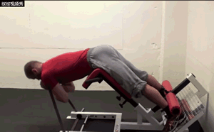 怎么练下背肌群，4招下背核心训练