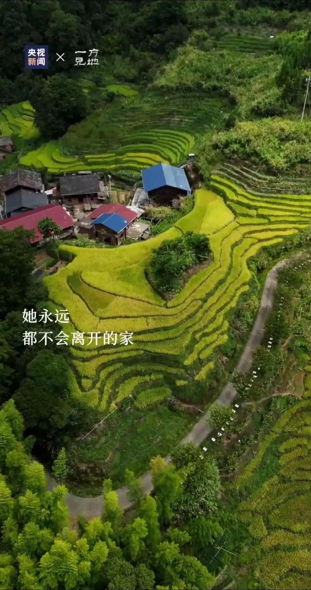 衤字旁的笔顺视频，衣字的笔顺怎么写（白露，露从今夜白，月是故乡明）