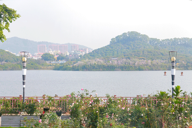 宝安中心地铁站(宝安客运中心附近地铁站)