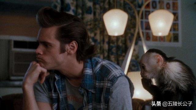 变相怪杰有第三部吗，变相怪杰有第三部吗百度云（盘点十三部世界知名的经典喜剧电影）