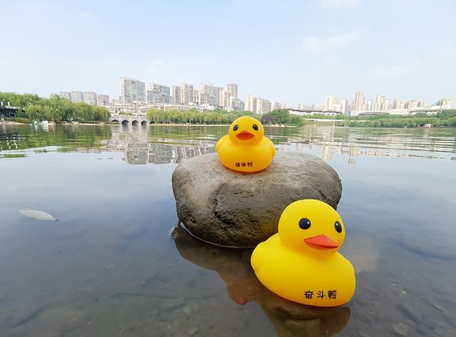 西安大明宫遗址公园游玩攻略，西安端午游玩最全攻略