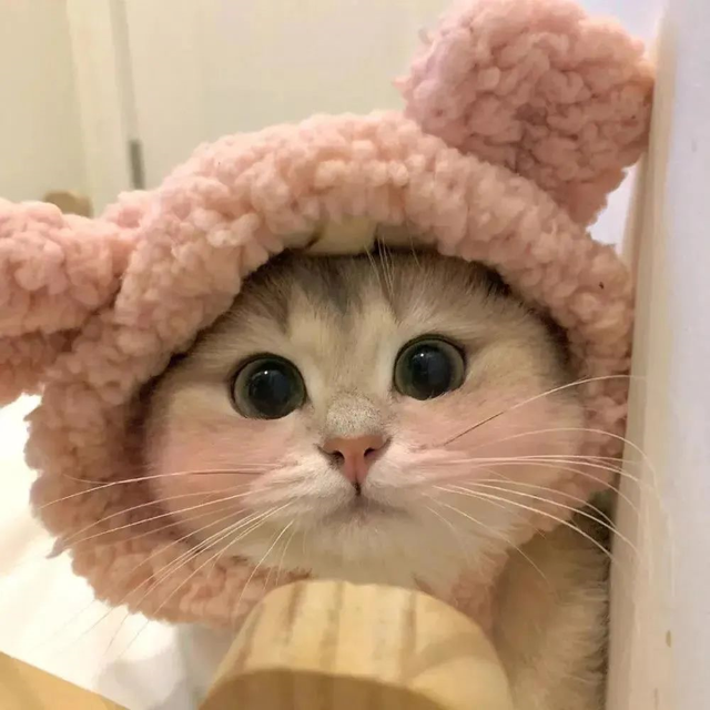 超甜的情侣头像，超级甜的情头微信（130张情侣、闺蜜头像）