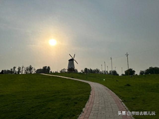 最佳油菜花观赏地，快来这里看油菜花海