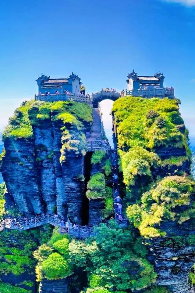 悲催的人生的句子，人生悲哀的经典话语（张爱玲的人生三恨决定了其悲惨的一生）