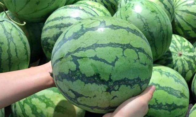 西瓜种植方法，西瓜高产种植技术（老农四句顺口溜）