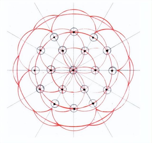 花朵的构造有哪些，花朵的组成结构（暴力拆解花朵的几何结构）