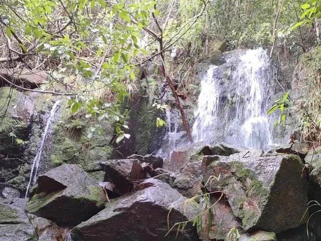 五桂山自然风景区，五桂山自然风景区收费吗（中山有一个世外桃源）