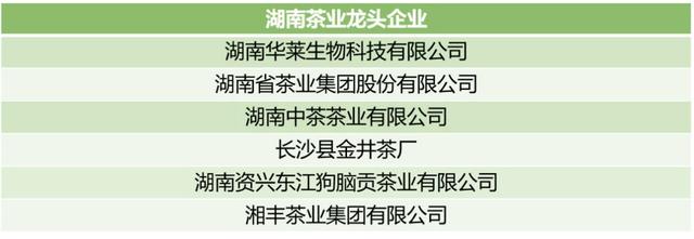 中国十大茶叶公司排名,中国十大茶叶公司排名榜(最新批次茶业龙头企业新增18家) 中国十大茶叶公司排名,中国十大茶叶公司排名榜(最新批次茶业龙头企业新增18家)