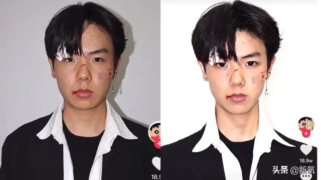 扑棱蛾子是什么梗，扑棱蛾子是什么梗贝斯（听说他换头是靠p的）