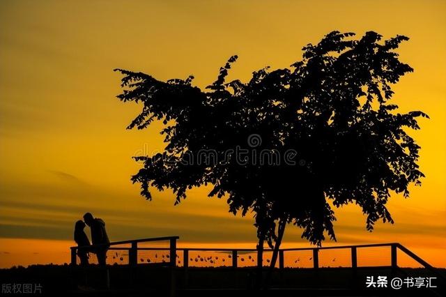 带翻译的爱情短句，爱情英文短句带翻译（虽通篇无爱，却字字深情）