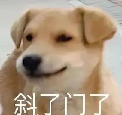 沉迷学习日渐消瘦，搞笑/头像/沉迷学习,日渐消瘦.微信（表情包/沉迷学习）