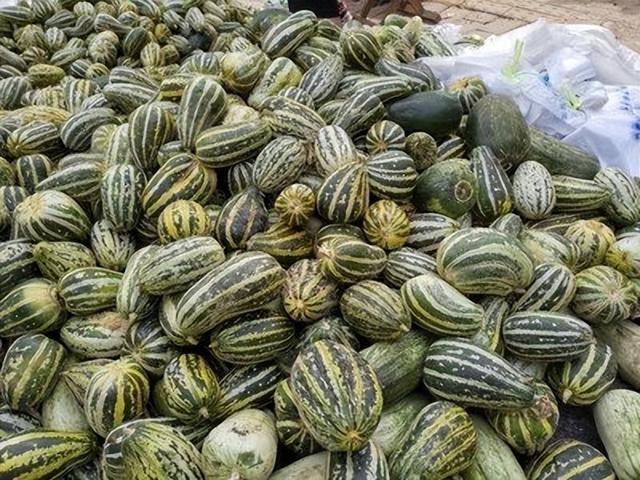 瓜车是什么意思，瓜子保卖车是什么意思（《卖瓜》谨以此献给我的父亲）