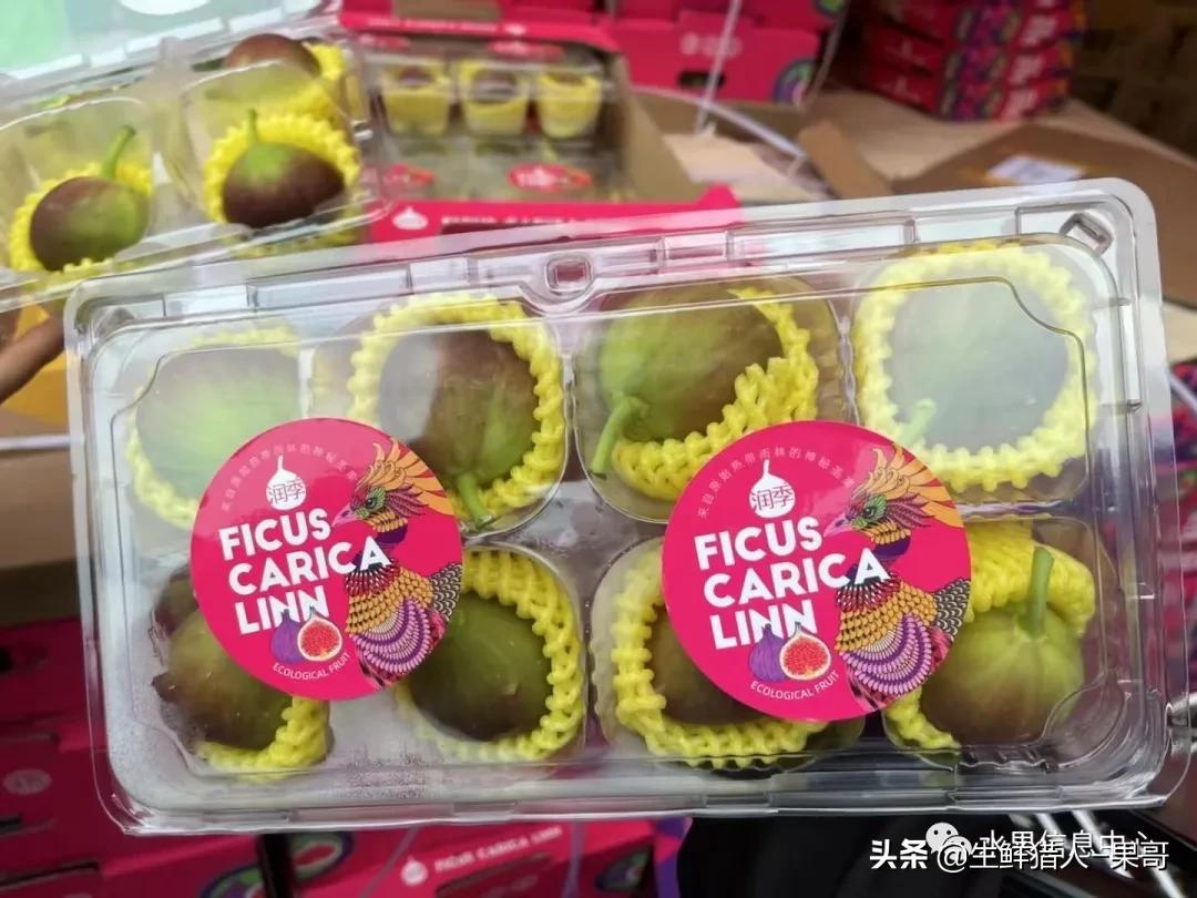 浆果是什么，浆果是什么软件（不同水果的不同包装<浆果篇>）