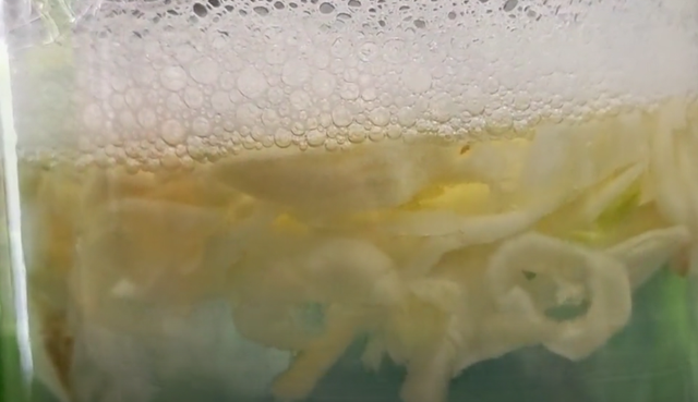 蟑螂幼崽怎么消除，蟑螂最怕三种克星（分享一个蟑螂怎么消灭最彻底的小妙招）