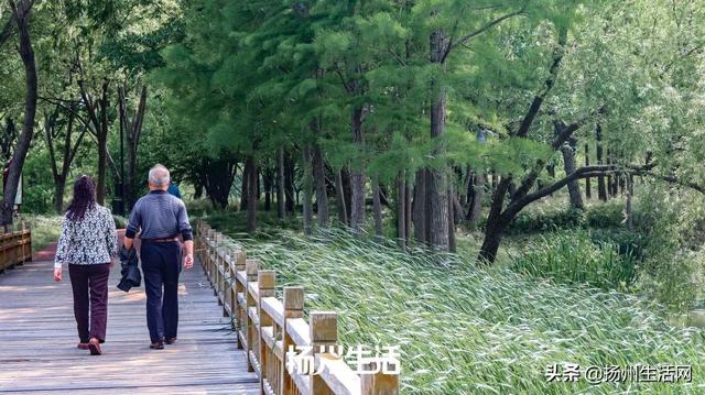 扬州历史文化景点，扬州最容易被忽视的古城遗址