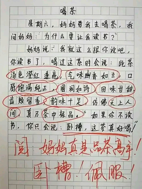 优秀家庭教育案例征文（小学生作文）