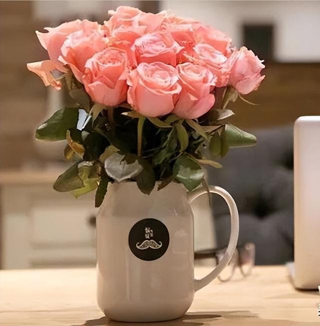 26朵玫瑰代表什么意思，26朵玫瑰花语什么意思（粉玫瑰戴安娜 探秘）