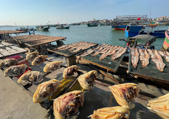 海鲜干货品种大全，青岛十大海鲜干货特产（原滋原味的南海味道）