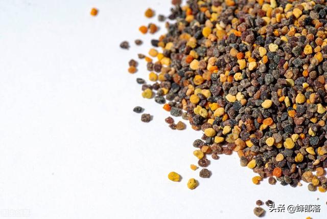 花粉怎么吃，蜜蜂花粉怎么吃（​蜜蜂花粉在蜜蜂发育过程中有何妙用）