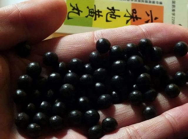 六味地黄丸能提高性功能吗，六味地黄丸能提高男人的性功能吗（坚持服用“六味地黄丸”）