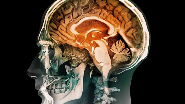 二维世界是什么样子的，二维世界是什么样子的人（列举不同维度的体验感受）