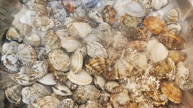 蛤蜊和花甲的区别，蛤蜊是不是花甲（少吃猪肉多吃花甲）