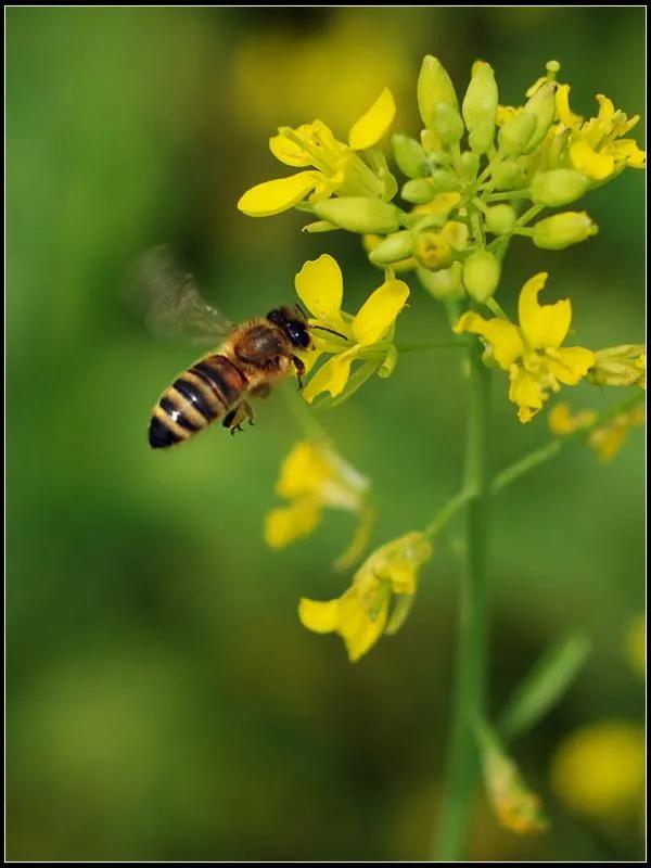 保护眼睛的桌面壁纸，经常对着电脑眼睛疼怎么办（保护眼睛从我做起…）