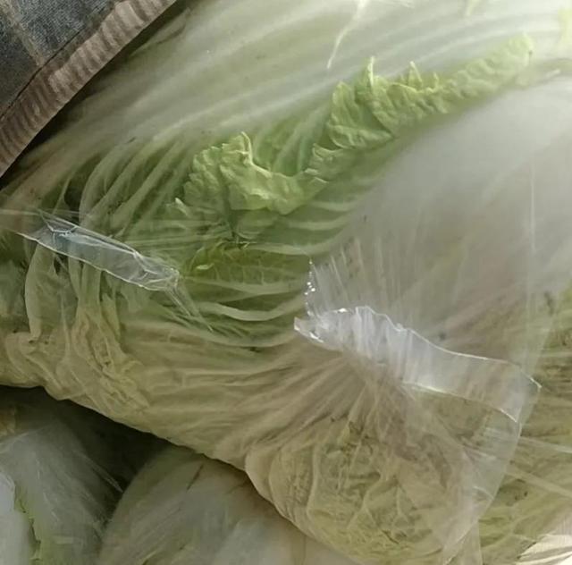 蔬菜价格一览表，农村4种蔬菜价格表（今日河南部分蔬菜最新价格）