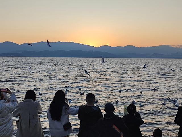 大理旅游攻略必去景点，自驾游大理旅游攻略必去景点（大理本地资深从业者推荐的大理必游的八景点）