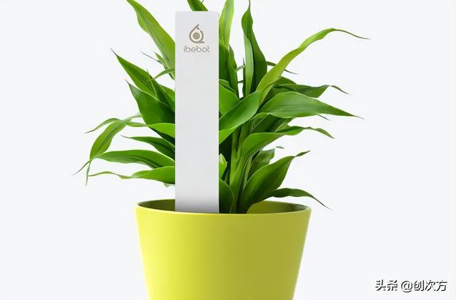 植物观察记录表，三年级植物观察记录表怎么做（植物生长，手机智能记录在册）