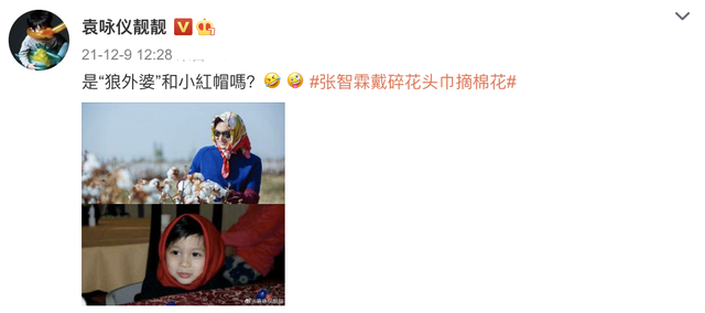 新疆摘棉花是什么梗，张智霖戴头巾摘棉花被阿姨误认为20多岁